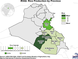 images\IZ\cropprod\Iraq_rice_preview.png